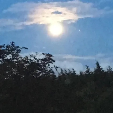 Castledale Bed & Breakfast Sligo