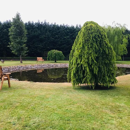 Castledale 5* Sligo