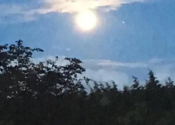 Castledale Couette-café Sligo