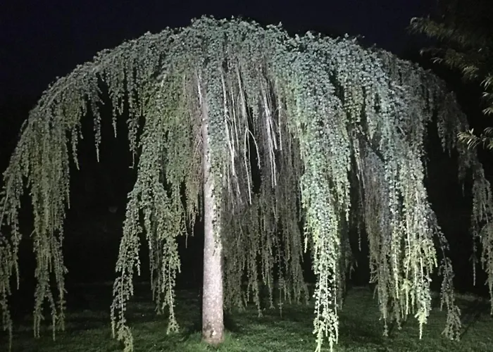 Nocleg ze śniadaniem Castledale 5*