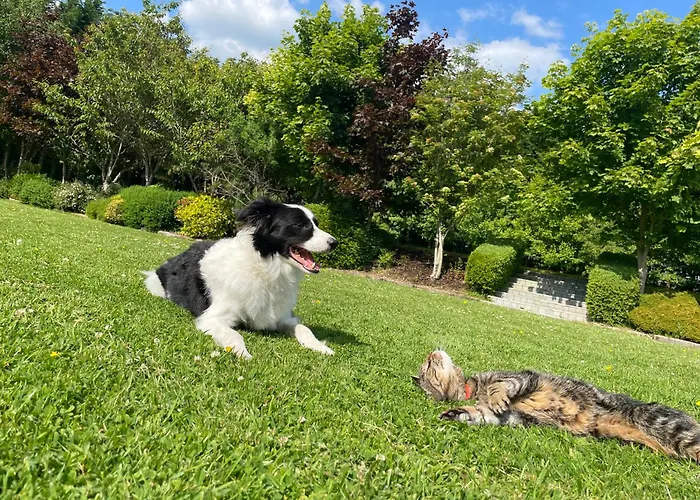 Castledale Nocleg ze śniadaniem